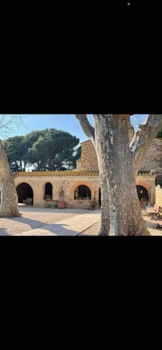 Torreilles-Casa Terracota-Proche Plage - Les Deferlantes Le Barcares - South Of France المظهر الخارجي الصورة